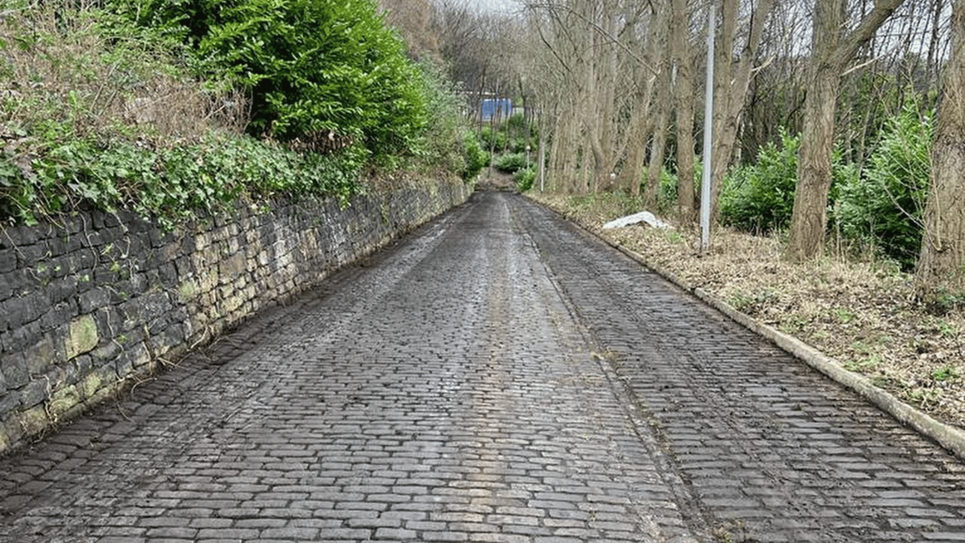 Batlet hub access road cleared and de vegetised, cobbled road and stone walled