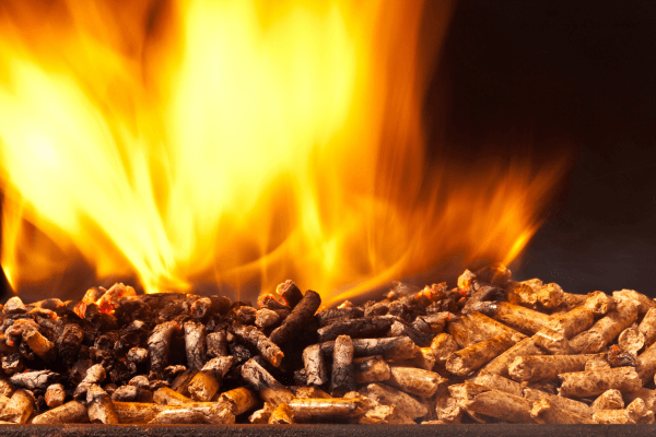 Wood pellets and fire to represent a biomass boiler for effective waste management