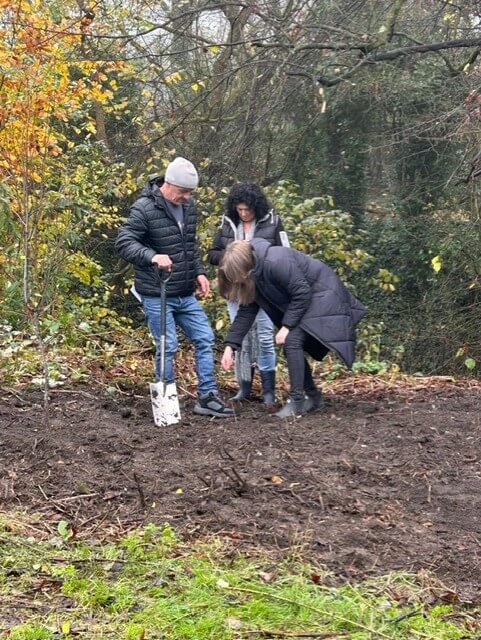 3 people stood planting a tree